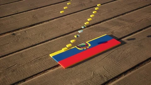 Ecuador Flag - Slow Motion Video stock 318765476