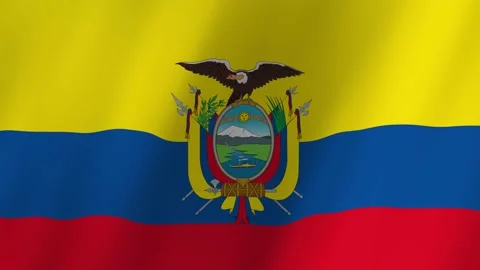Ecuador flag waving animation 動画素材 220388327