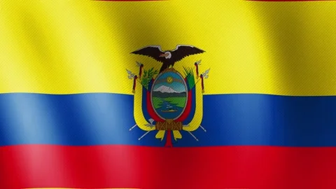 Ecuador flag waving, close-up of Ecuador national flag Stock Footage 340501154
