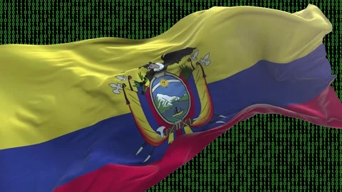 Ecuador flag - Waving flag on matrix binary code background Stock Footage 321421103