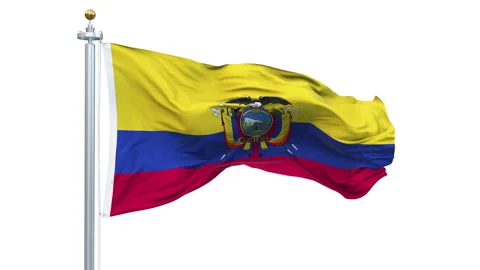 Ecuador flag waving looping with transparent background. Vídeo Stock 312984831