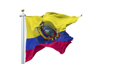 Ecuador flag waving looping with transparent background. Video stock 312984838