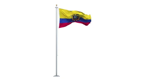 Ecuador flag waving looping with transparent background. Video stock 312984956