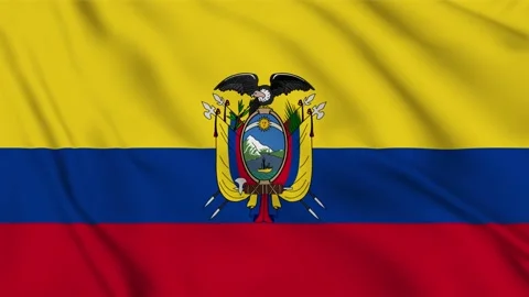 Ecuador flag waving in the wind. 4k footage of 3D flag fabric. Stock Footage 133798414