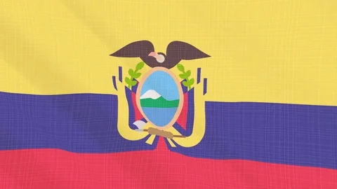 Ecuador flag waving in the wind. Background with rough textile texture Stock Footage 83837131