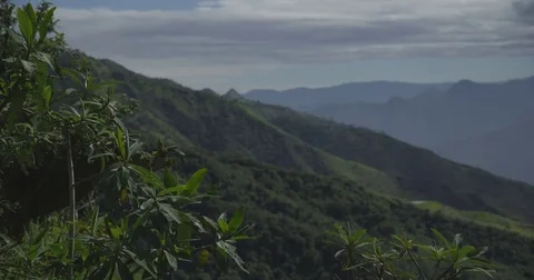 Ecuador Stock Footage 75463245