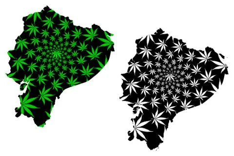 Ecuador - map is designed cannabis leaf Stock Illustration