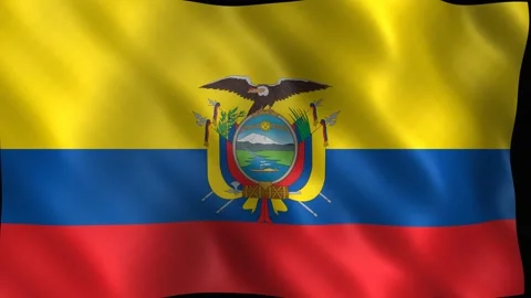 Ecuador national flag waving in the wind seamless loop. 4K Vídeo Stock 344046949