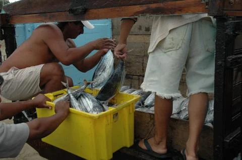 Ecuador Stock Photos