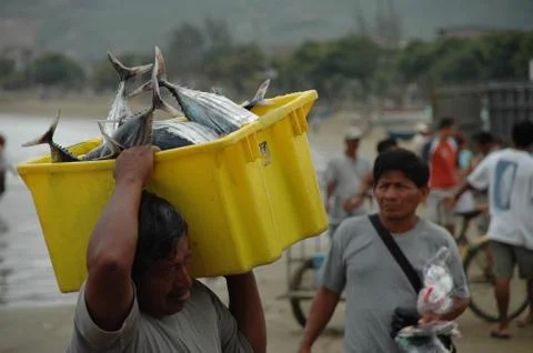 Ecuador Stock Photos