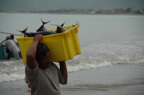 Ecuador Stock Photos