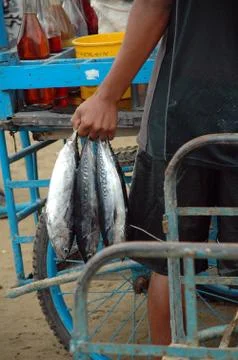 Ecuador 스톡 사진