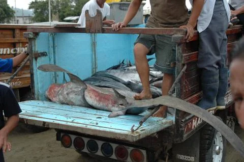 Ecuador 스톡 사진