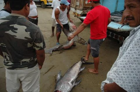 Ecuador 스톡 사진