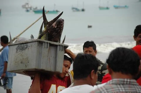 Ecuador 스톡 사진