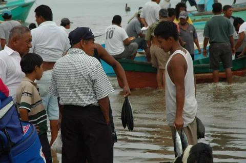 Ecuador Stock Photos