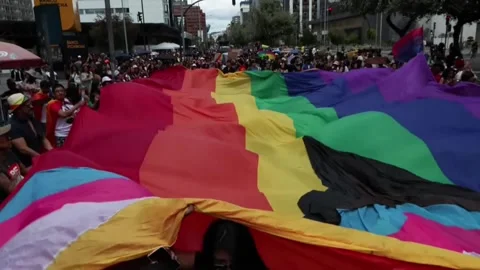 Ecuador Pride March calls for equal rights and respect for diversity, Quito, EC  Video stock 337799881