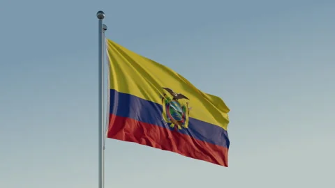 Ecuador Quito Flag seamless loop Cinematic Realistic Waving Blue Sky 스톡 동영상 310013432