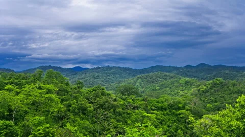 Ecuador. Selva. View on Jungle. 4k time lapse Stock Footage 63842586