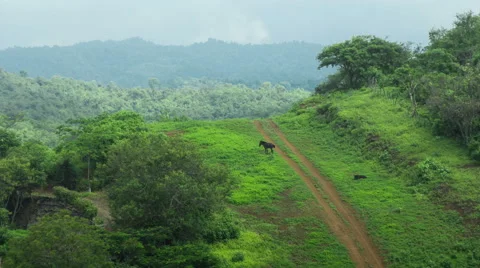 Ecuador. Selva. View on Jungle. 4k time lapse Stock Footage 63843588