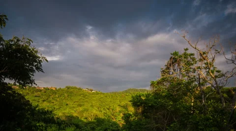 Ecuador. Selva. View on Jungle. 4k time lapse Stock Footage 63843782