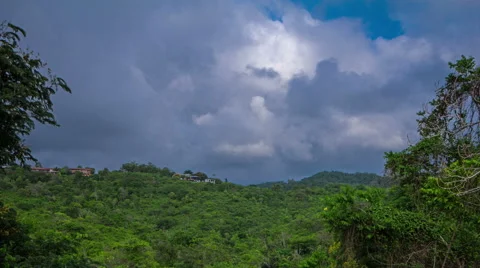 Ecuador. Selva. View on Jungle. 4k time lapse Stock Footage 63844092