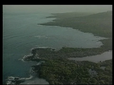 Long-line fishing in the Galapagos Archipelago - Galapagos