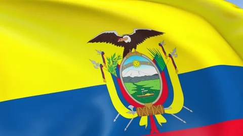 Ecuador Waving Flag Background Loop Stock Footage 317841853