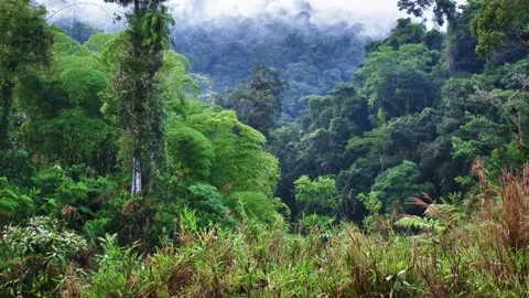 Ecuadorian Andes 库存影片 95442379