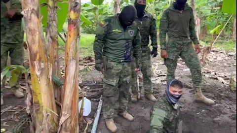 Ecuadorian Army uncovers weapons cache and seizes three tons of drugs hidden... 스톡 동영상 262516049