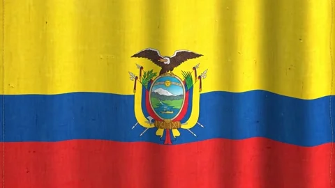 Ecuadorian flag waving Stock Footage 340180016