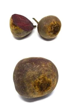 Ed Beet isolated on a white background Stock Photos