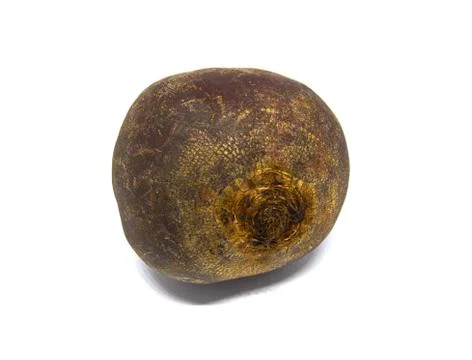 Ed Beet isolated on a white background Stock Photos