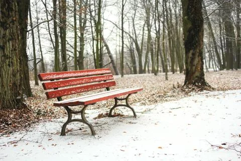 Ed bench in the park covered with snow in winter Stock Photos