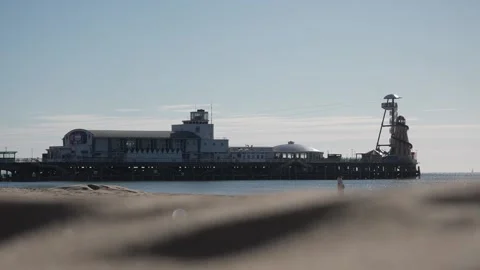 Ed Davey plays beach cricket to warm up for conference speech Stock Footage 317616785