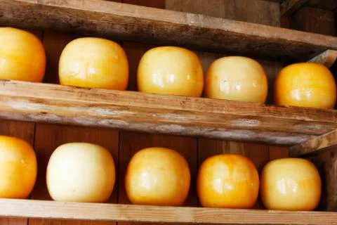 Edam cheeses Stock Photos