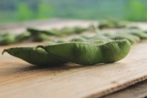 Edamame beans Fotos de archivo