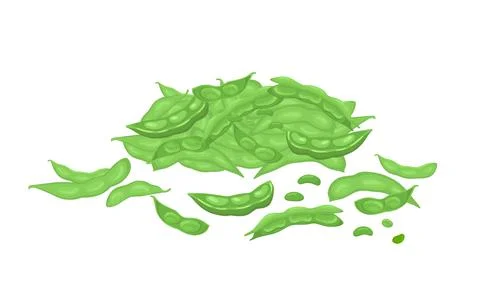 Edamame beans. Vector stock illustration isolated on white background for Stock Illustration