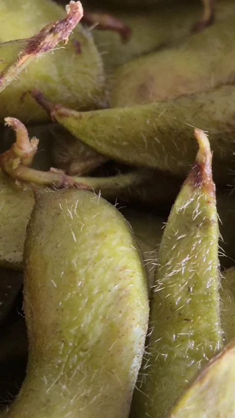 Edamame Stock Footage 328960510