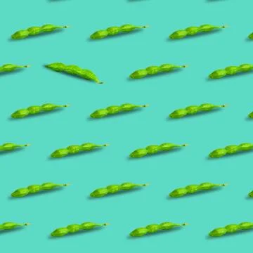 Edamame or soybeans pod pattern isolated on a turquoise background Stock Photos