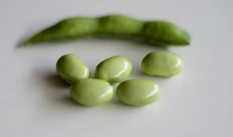 Edamame Stock Photos