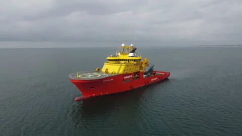 EDDAFLORA Vidéo 165545054