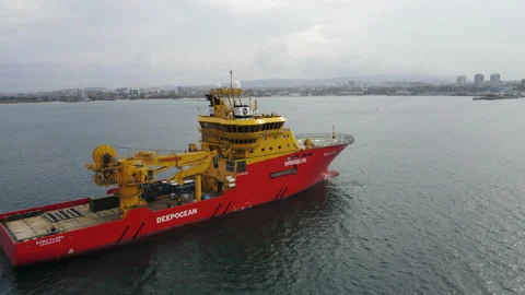 EDDAFLORA Video stock 165545077