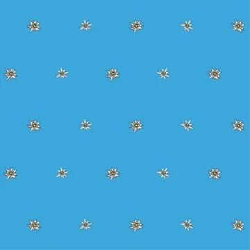 Edelweiss blue background Stock Illustration