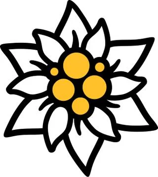 Edelweiss flower Stock Illustration