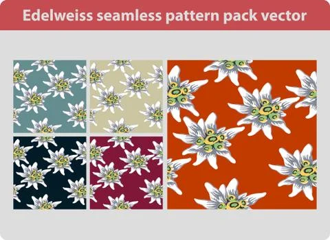 Edelweiss pattern pack Stock Illustration