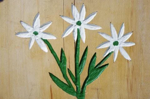 Edelweiss Stock Photos