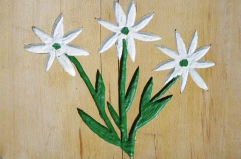 Edelweiss Stock Photos