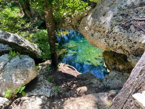 Eden Cenote Stock Photos