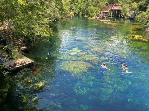 Eden Cenote Stock Photos